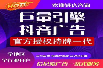 优化SEM广告投放：成功案例分享